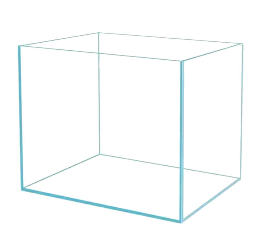a rimless fish tank